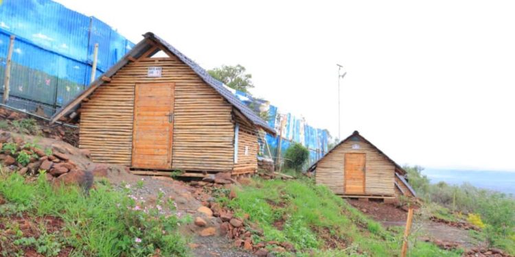 SHAMS CAMP