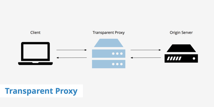 What is Reverse Proxy | Proxy Servers Explained What is Reverse Proxy | Proxy Servers Explained