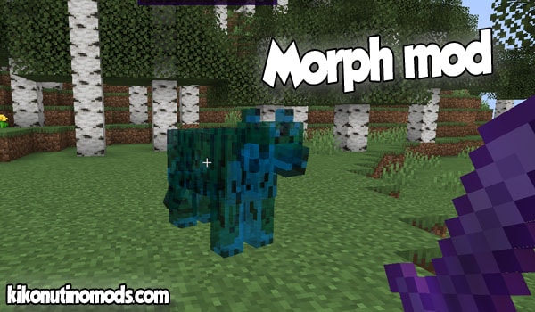 Morphing mods for minecraft 1.16.5 ; Budschie S Morph Mod For Minecraft 1 18 1 Download