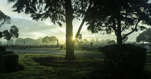 Hieronder lees je een overzicht van alle vieringen op allerheiligen en allerzielen. Op School Aandacht Voor Allerheiligen En Allerzielen Klascement