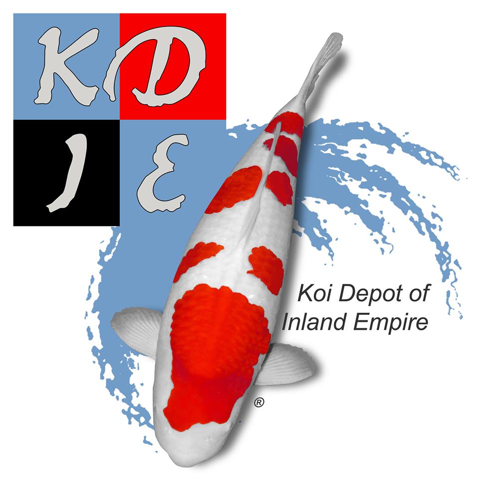 Find out where to eat after a concert, where to get a romantic view of the coast, and where to go with your. Koi Depot Of San Diego Pond Service Koi Pond Service Pond Maintenance Pond Specialist