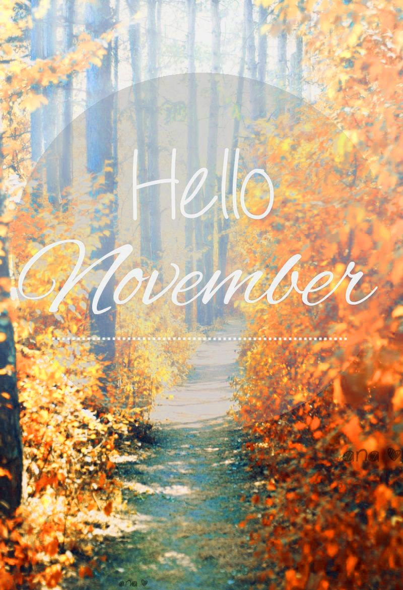 Check out this fantastic collection of beautiful november wallpapers, with 32 beautiful november background images for your desktop, phone or tablet. November Background Kolpaper Awesome Free Hd Wallpapers