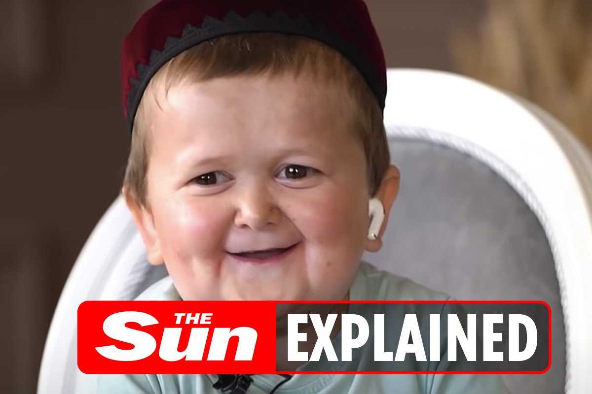 Hasbulla Wallpaper Iphone : Hasbulla Wallpapers Kolpaper Awesome Free Hd Wallpapers