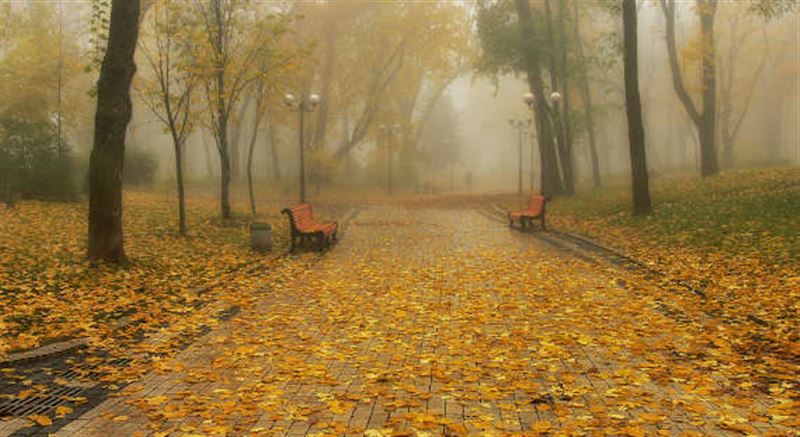 Экскурсии в главном ботаническом саду. Vospitanniki Detskogo Doma Pobyvali Na Ekskursii V Botanicheskom Sadu Almaty Ktk