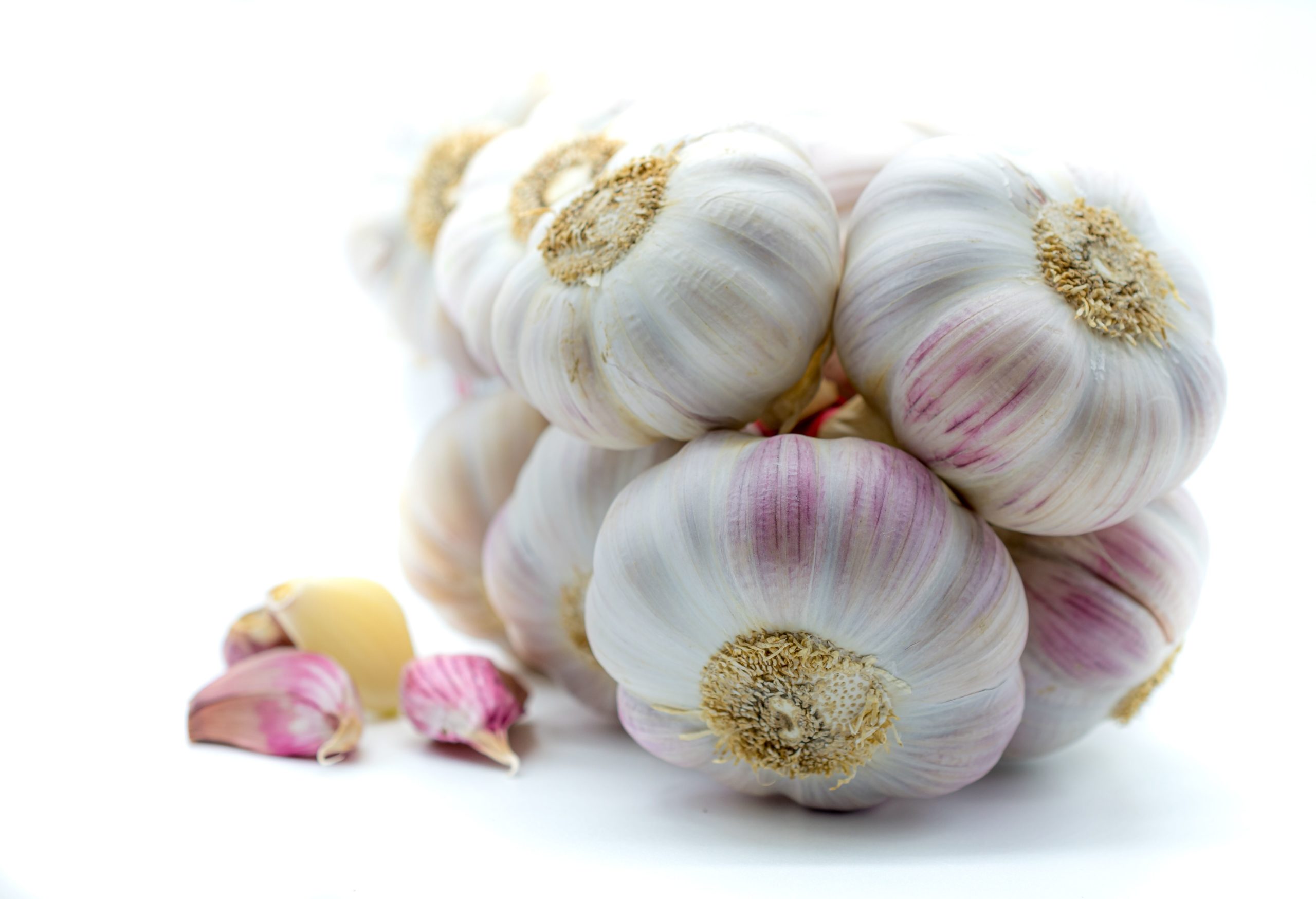 Ail rose de Lautrec – Grappes (1kg) | Ail rose de Lautrec
