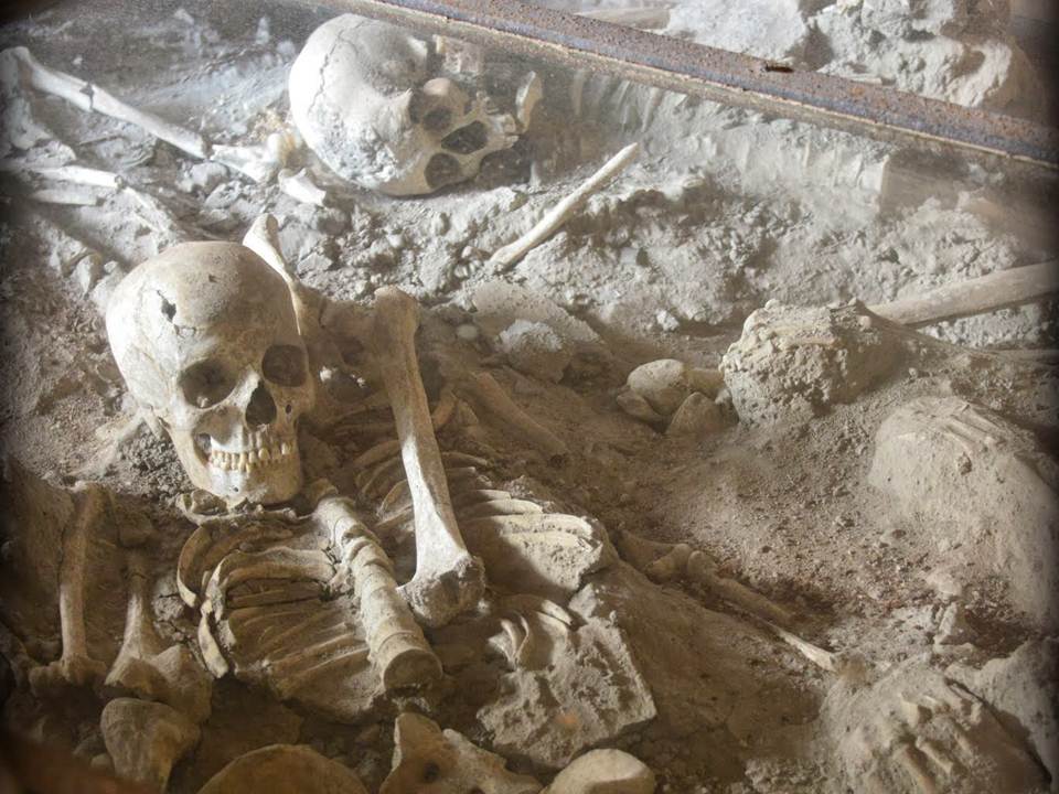 5701 beckley rd, 49015 battle creek. #10: I Survived The Destruction of Pompeii, 79AD | Lauren