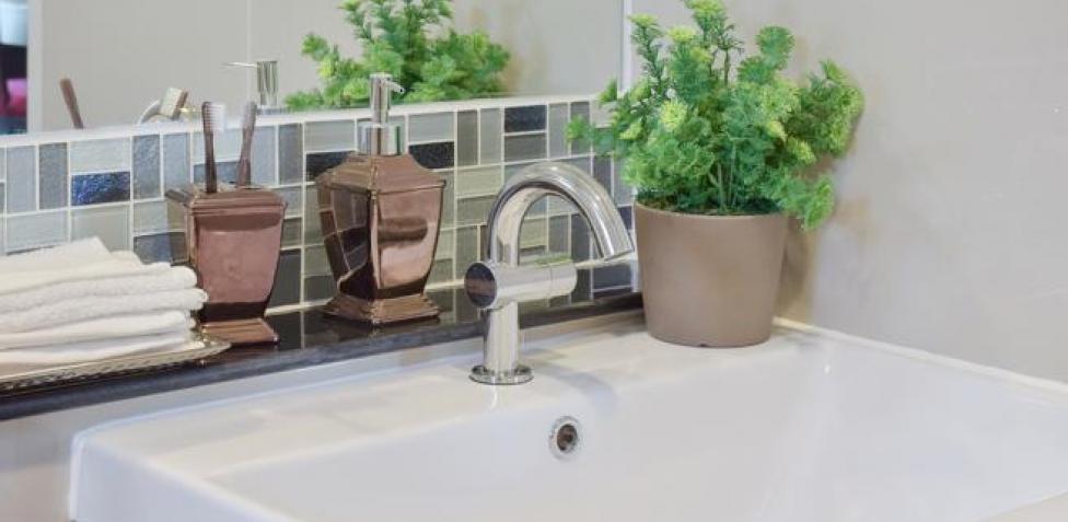 Tolera los lugares en sombra o semisombra y como sus . Las Mejores Plantas Para Decorar El Bano La Cocina Y El Dormitorio