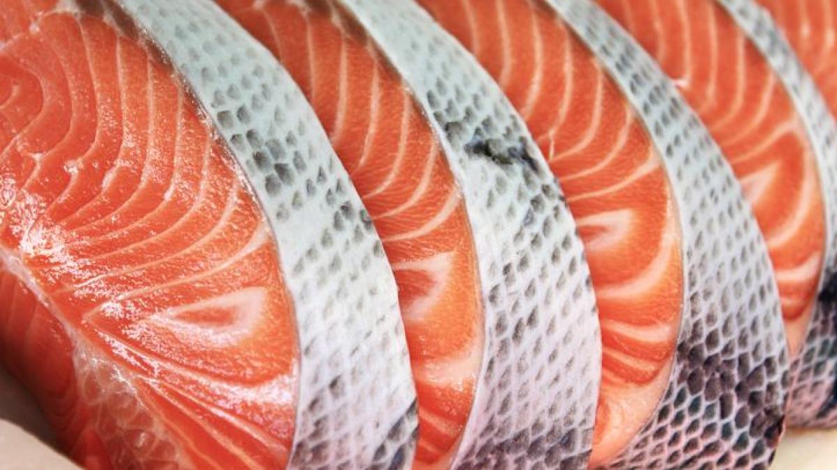 En un partido emocionante, junior y deportivo cali empataron a dos tantos, . Los alimentos con mÃ¡s dioxinas y DL-PCB, segÃºn la OCU