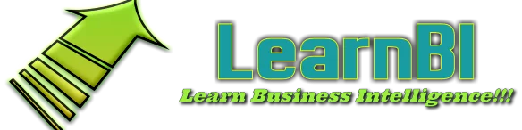 learn business intelligence