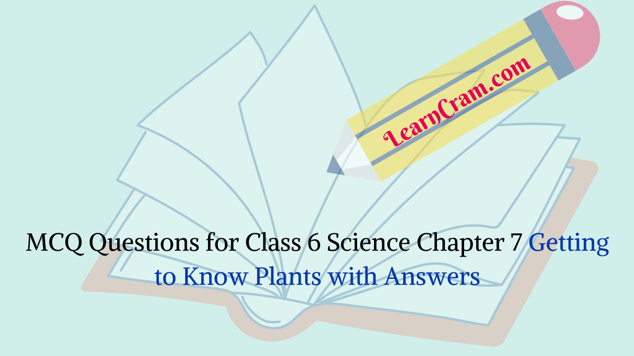 MCQ Questions for Class 6 Science Chapter 7 Getting to Know Plants with