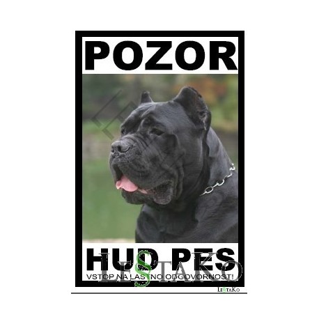 Cane Corso "Pozor Hud Pes" - Lestako D.o.o. 458_x_458_jpg
