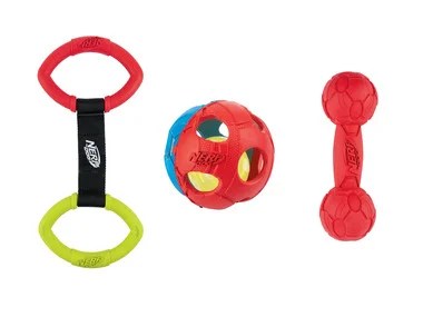 ZOOFARI® Accessoires de dressage pour chien, avec vidéos de formation - Lidl .be