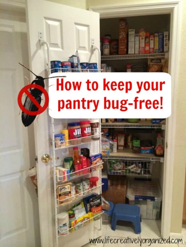 How to keep your pantry bugfree! LIFE, CREATIVELY ORGANIZED