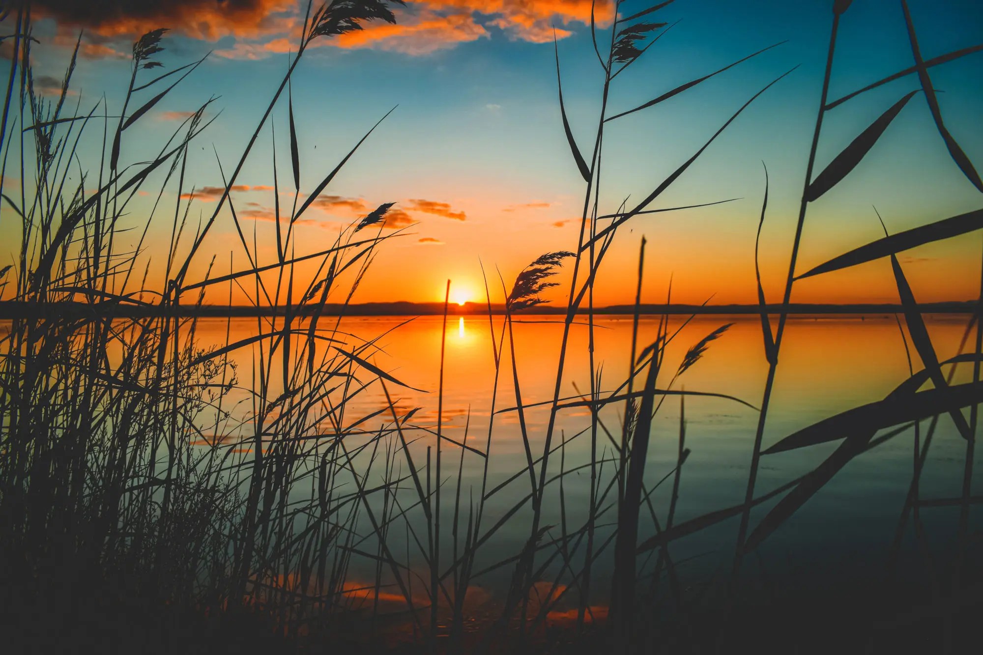 ✓ free for commercial use ✓ no attribution required ✓ high quality images. 19 Stunning Lake Sunsets For You To Reflect On Light Stalking