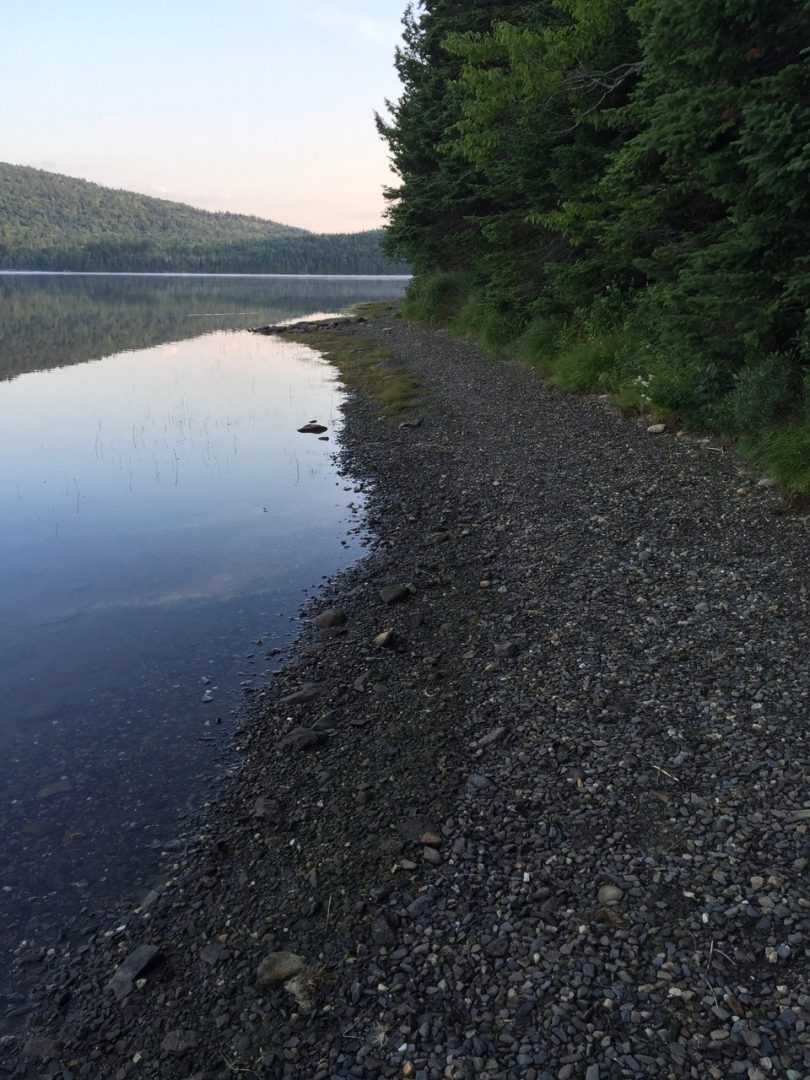 02.11.2021 · nh fish and game department, guardian of the state's fish, wildlife, and marine resources. Third Connecticut Lake | Lopstick