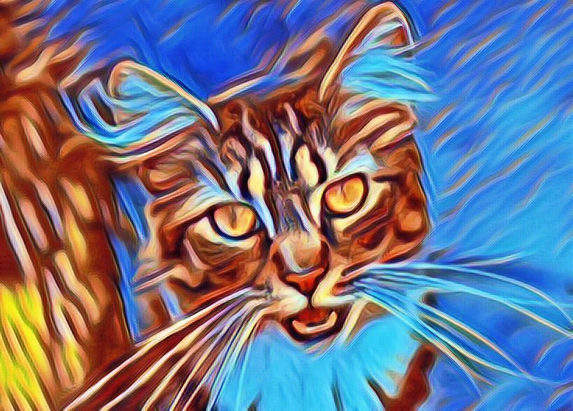 All you need is a working. LunaPic | Free Online Photo Editor