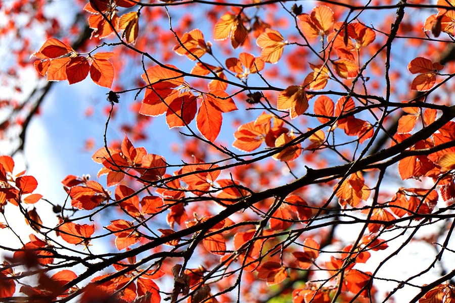 Liegt dekubitus bereits vor, so kann mit speziellen matratzen für übergewichtige dem krankheitsbild entgegengesteuert werden. Blog | Infos und Tipps fÃ¼r Betten und Matratzen