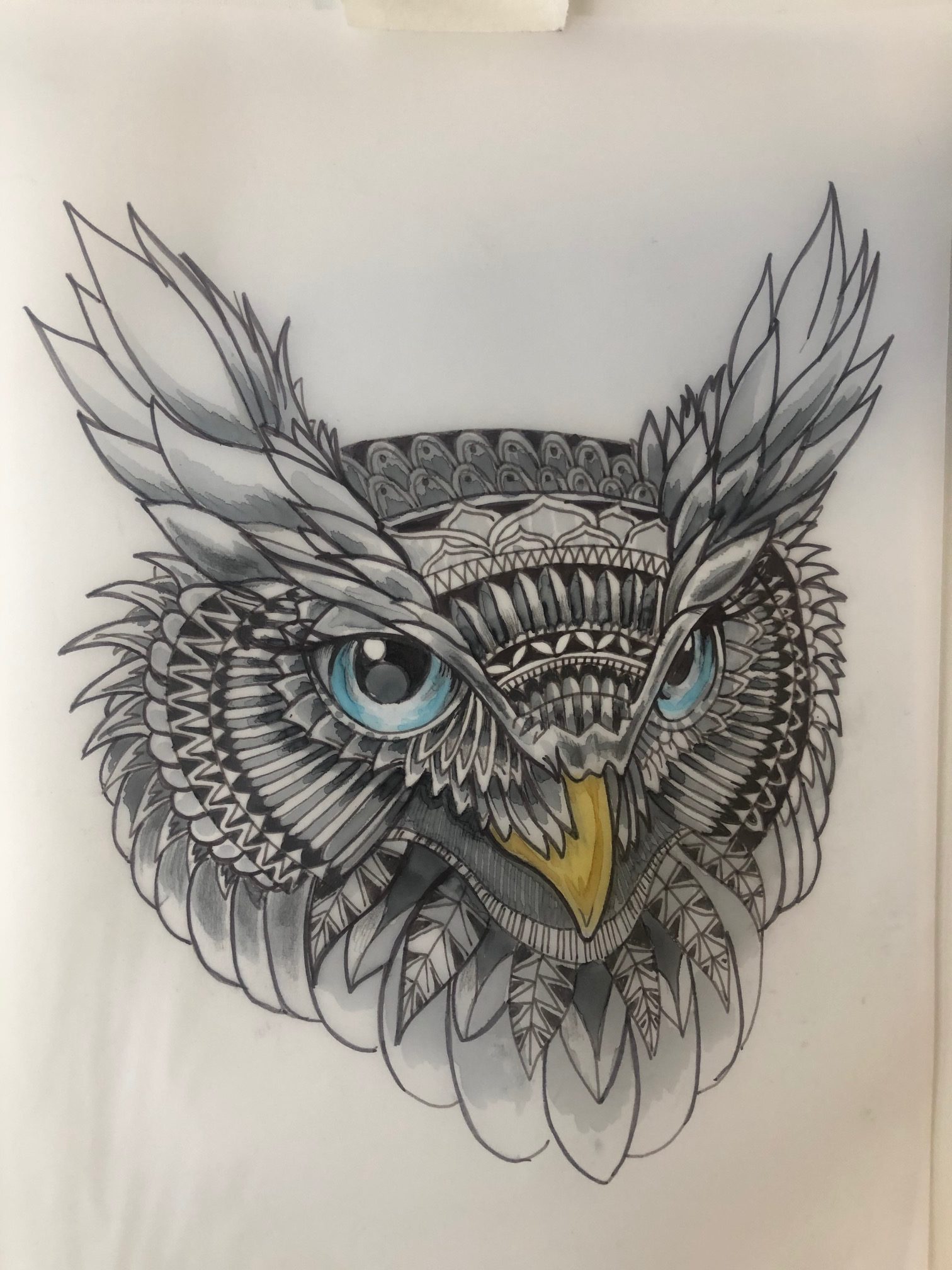 Terpopuler 47 gambar sket tato burung hantu paling modern dan nyaman. Madman Tattoo Studio Concepts Flashes
