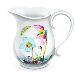 Charles Web Debugging Proxy 5.0.2