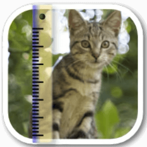 SizeMyPics 1.8.1