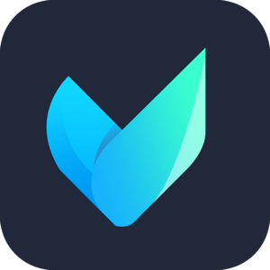 Vidmore Video Converter 2.3.60