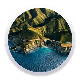 macOS Big Sur 11.6 (20G165) (Image for VMWare)