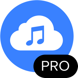 4K YouTube to MP3 Pro 26.0.8
