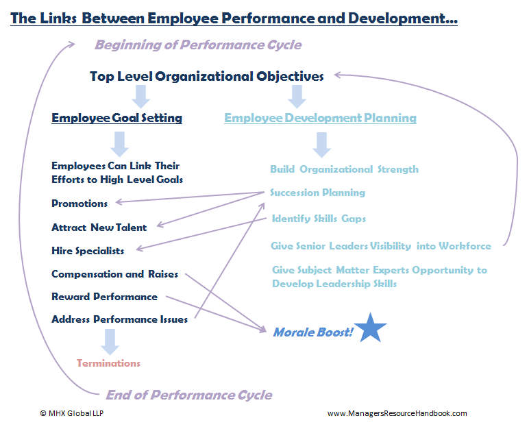 performance management and development