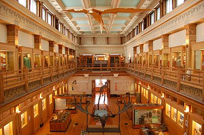 Collections Redpath Museum Mcgill University