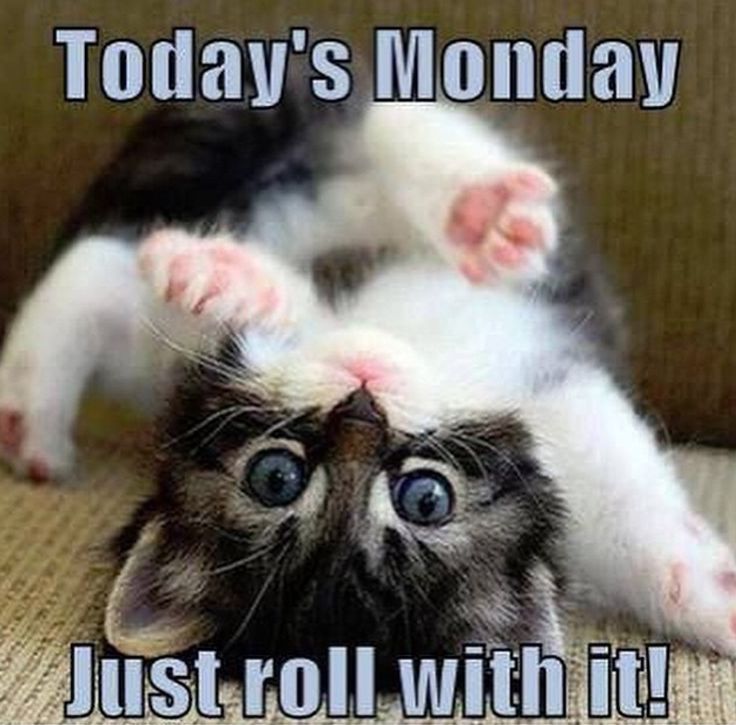 She's definitely got the monday blues · #3: Monday Blues Memes
