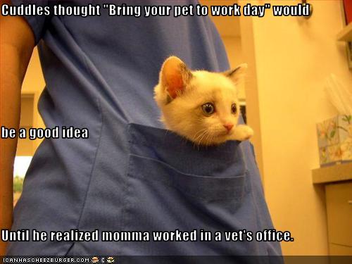 Every item on this page was chosen by a woman's day editor. Vet Tech Memes
