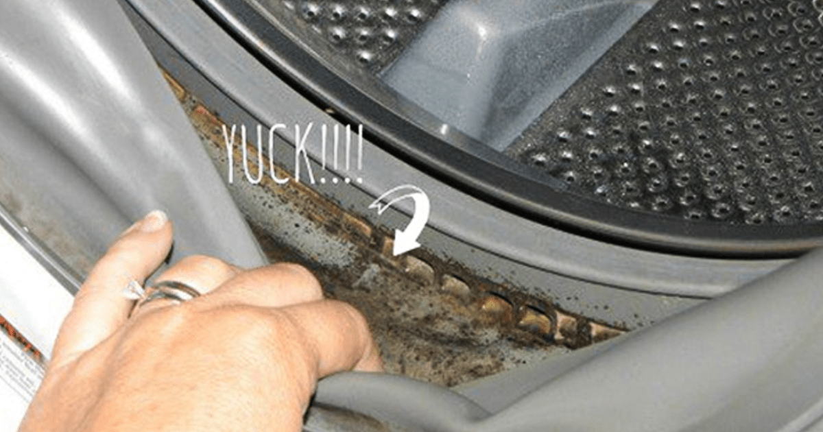 To eliminate the smell, kill the bacteria and germs by cleaning the . If Your Clothes Smell Like Mildew, DON'T Get A New Washing