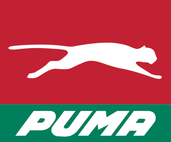 Idolo Diagonal Ejercicio Mananero Puma Estacion De Servicio Tratar Con Complejidad Abigarrado