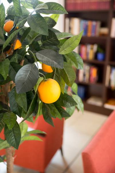 48+ Clever Wohnung Blankenfelde Mahlow : Mietspiegel Blankenfelde-Mahlow 2021 - wohnungsboerse.net - Herzlich willkommen in unseren seniorengerechten wohnungen im haus christo.