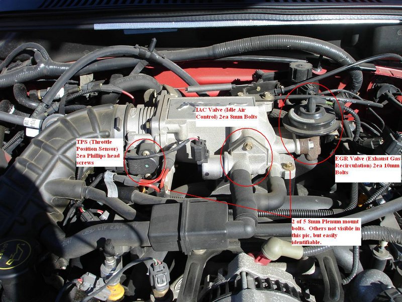 In 1961, ford division vice president and general manager lee iacocca had a vision: How To Install An Upper Intake Plenum On Your Mustang