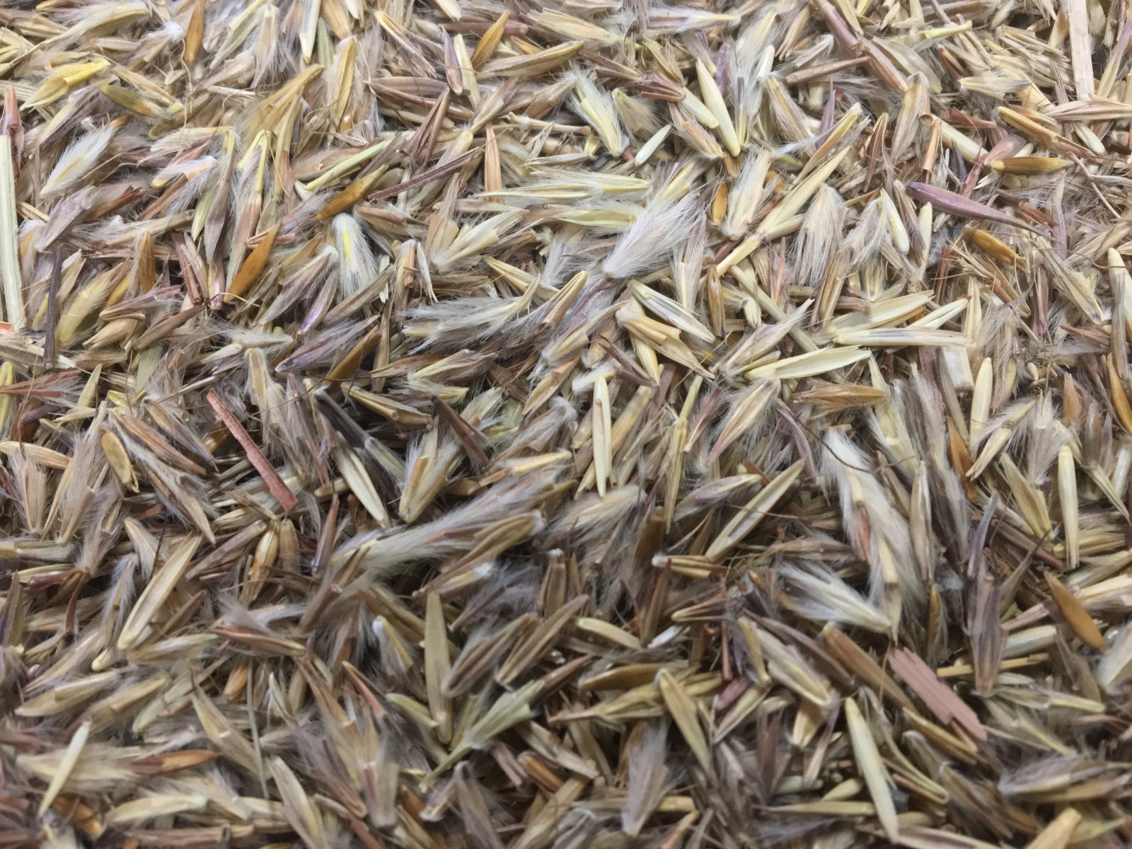 Shop by style or material to fit your needs. Seed - Miller Seed Company