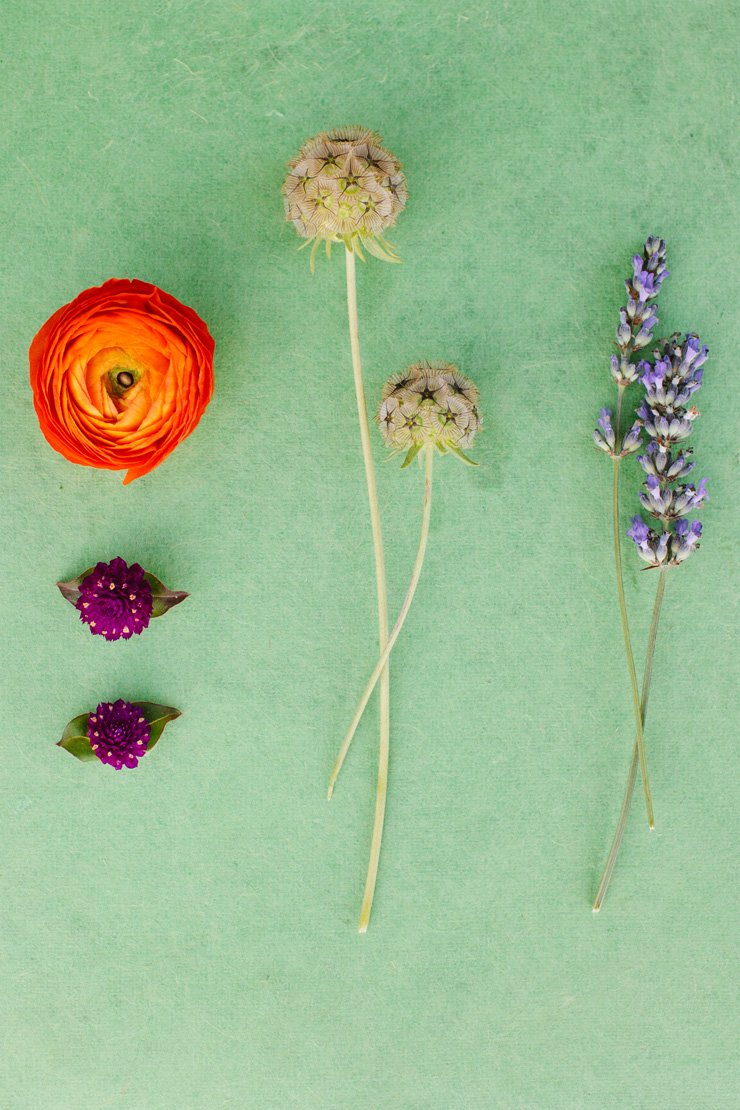 In the spring, a population of several . Cayucos Creek Barn Wedding | Mirelle Carmichael Photography