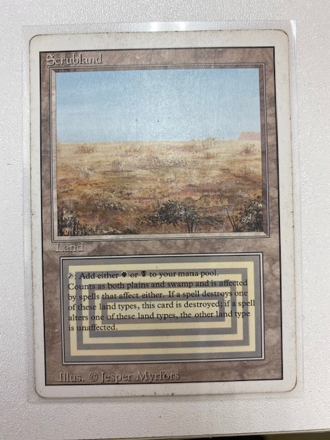 買取情報『マジックザギャザリングのScrubland』