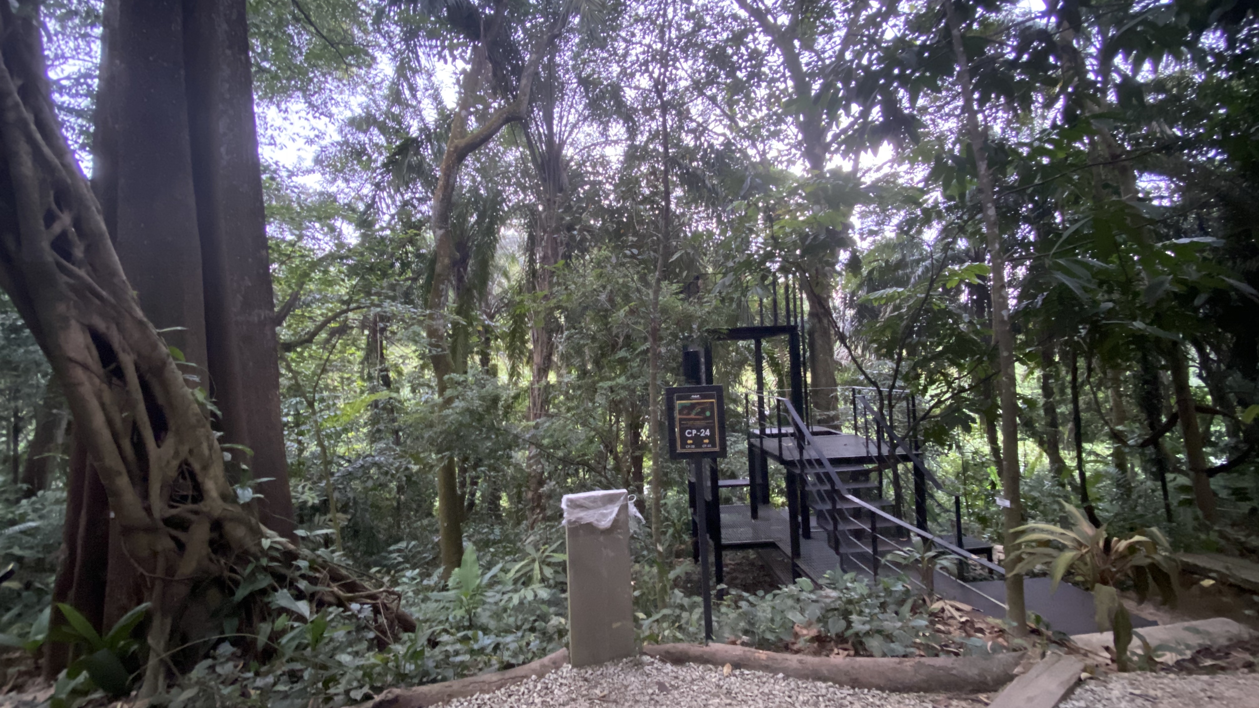 Everything You Need To Know Before You Visit Taman Tugu The Perpetual Saturday