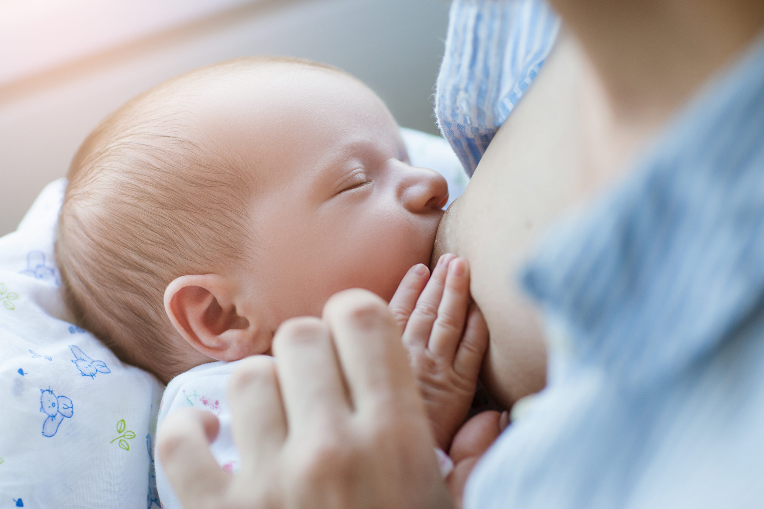 Pas assez de lait, comment favoriser la lactation - mpedia.fr