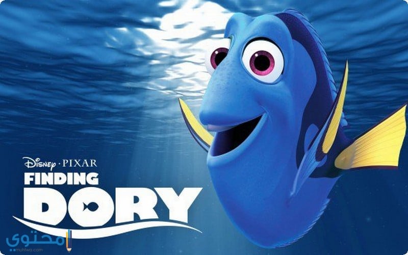 31.10.2021 كريم فؤاد يظهر في قائمة الأهلي. ÙØ¹ÙÙ Ø§Ø³Ù Ø¯ÙØ±Ù ÙØ­ÙÙ Ø§ÙØªØ³ÙÙØ© Dory ÙÙÙØ¹ ÙØ­ØªÙÙ