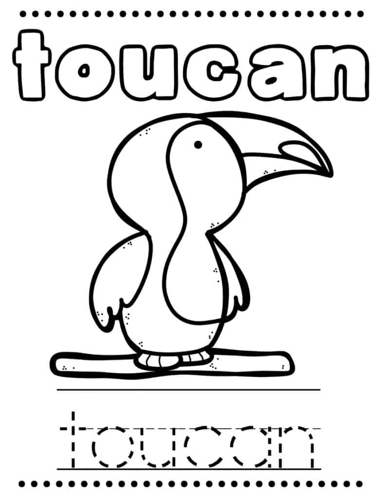 rainforest theme tracing worksheet for preschool name tracing