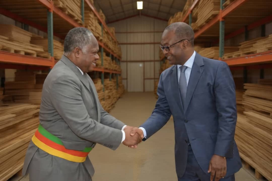 Transformation du bois : Le gouvernement envisage l’implantation des SMEs Wood’s Park dans quatre localités Transformation du bois : Le gouvernement envisage l’implantation des SMEs Wood’s Park dans quatre localités