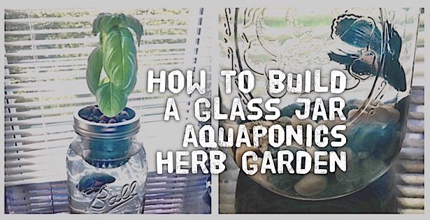 aquaponics nft system - youtube