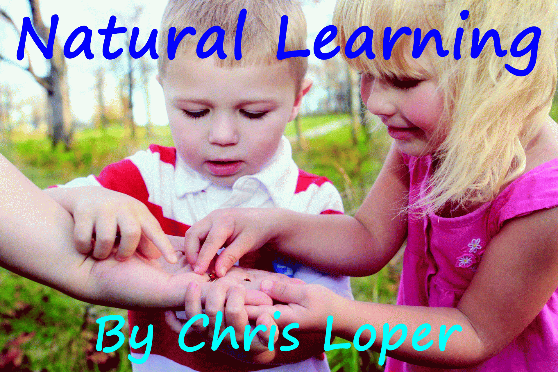Natural Learning Northwest Educational Services