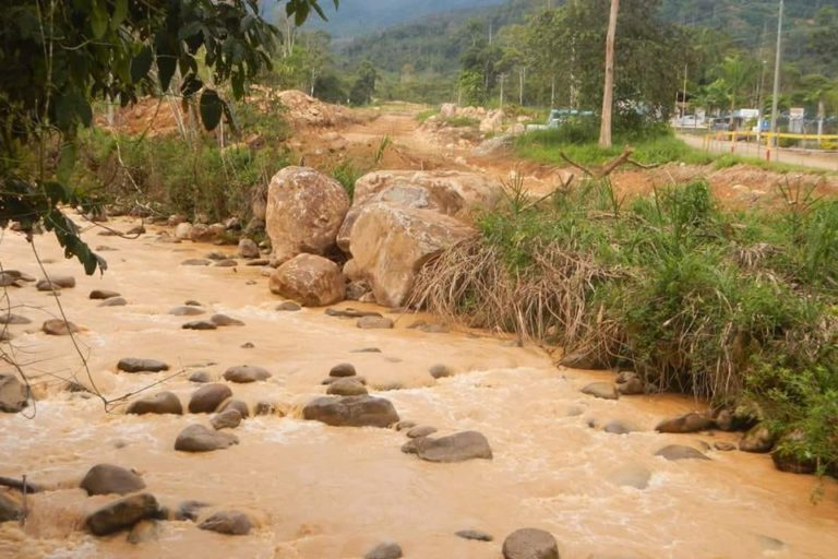 La Deforestacion Del Proyecto Minero Mirador En El Sur De La