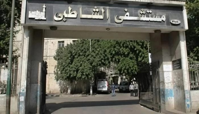 مصر.. محاكمة طبيبة اتُهمت بنشر أخبار كاذبة عن مستشفى شهير مصر.. محاكمة طبيبة اتُهمت بنشر أخبار كاذبة عن مستشفى شهير