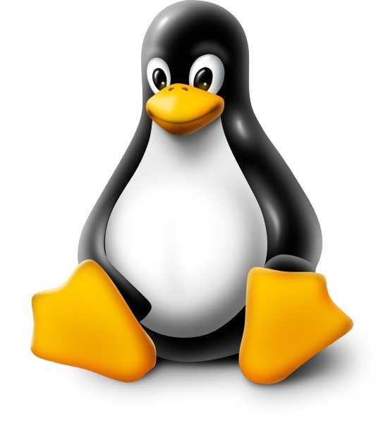  Logo Linux "width =" 543 "height =" 600 "title =" 12 lý do tại sao cPanel Web Hosting là tốt nhất cho Người mới bắt đầu 5 "data-recalc-dims =" 1 "/> </p>
<p> cPanel được xây dựng trên Linux và nó chứa rất nhiều yếu tố chức năng và linh hoạt khiến Linux trở nên phổ biến. Đối với tất cả các bạn, những người đã sử dụng Linux, bạn sẽ thấy những điểm tương đồng ngay lập tức. </p>
<h2> <span class=