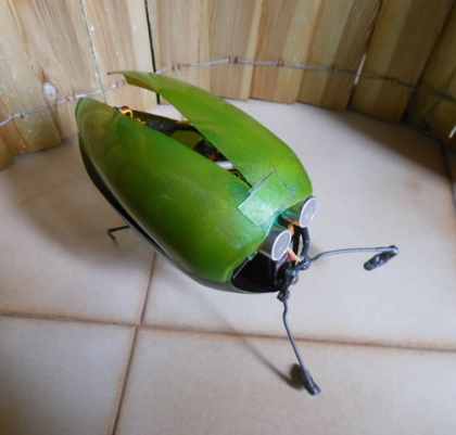 insect robot project