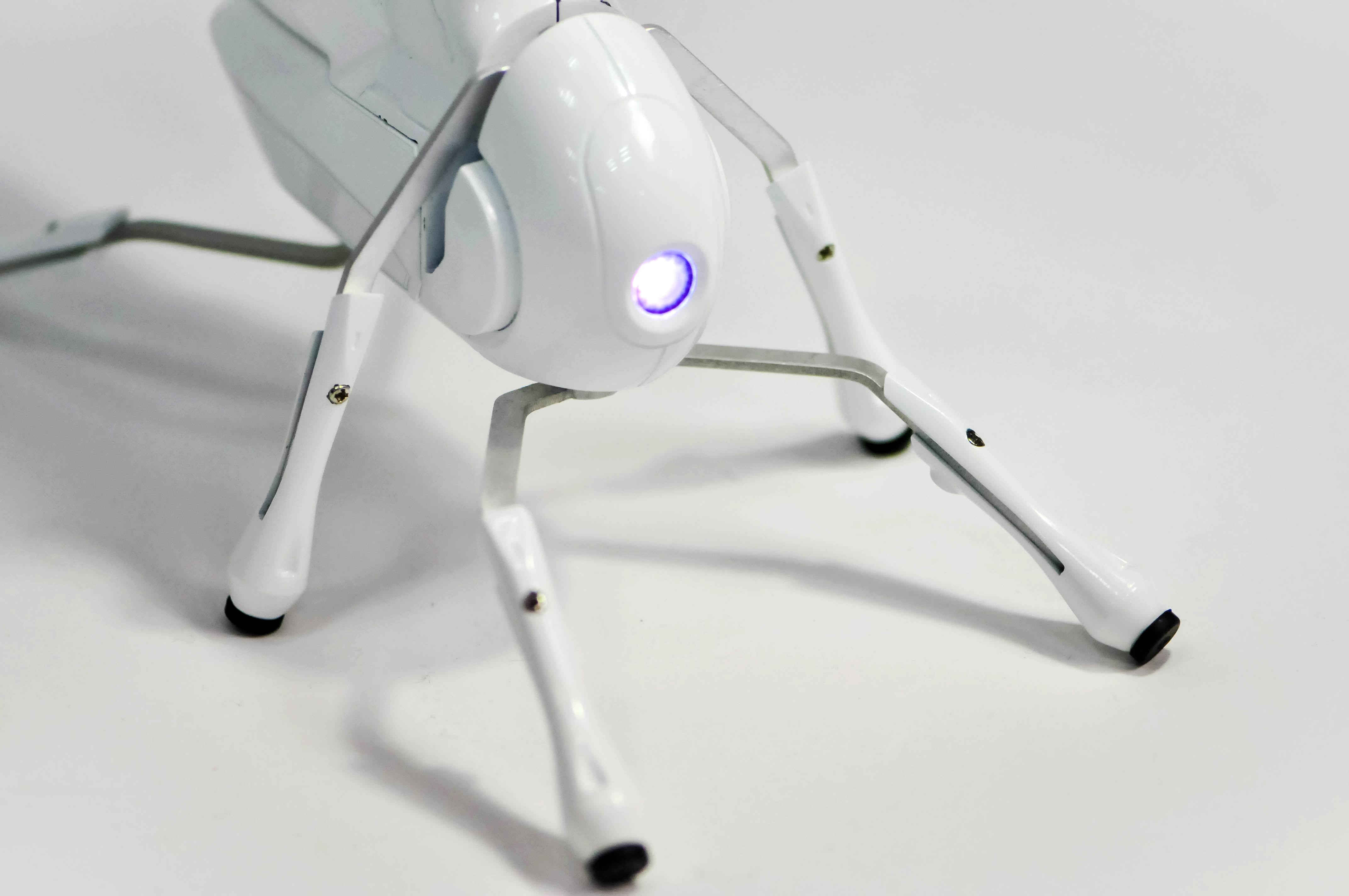 Antbo is a robot insect companion anyone can build Open Electronics